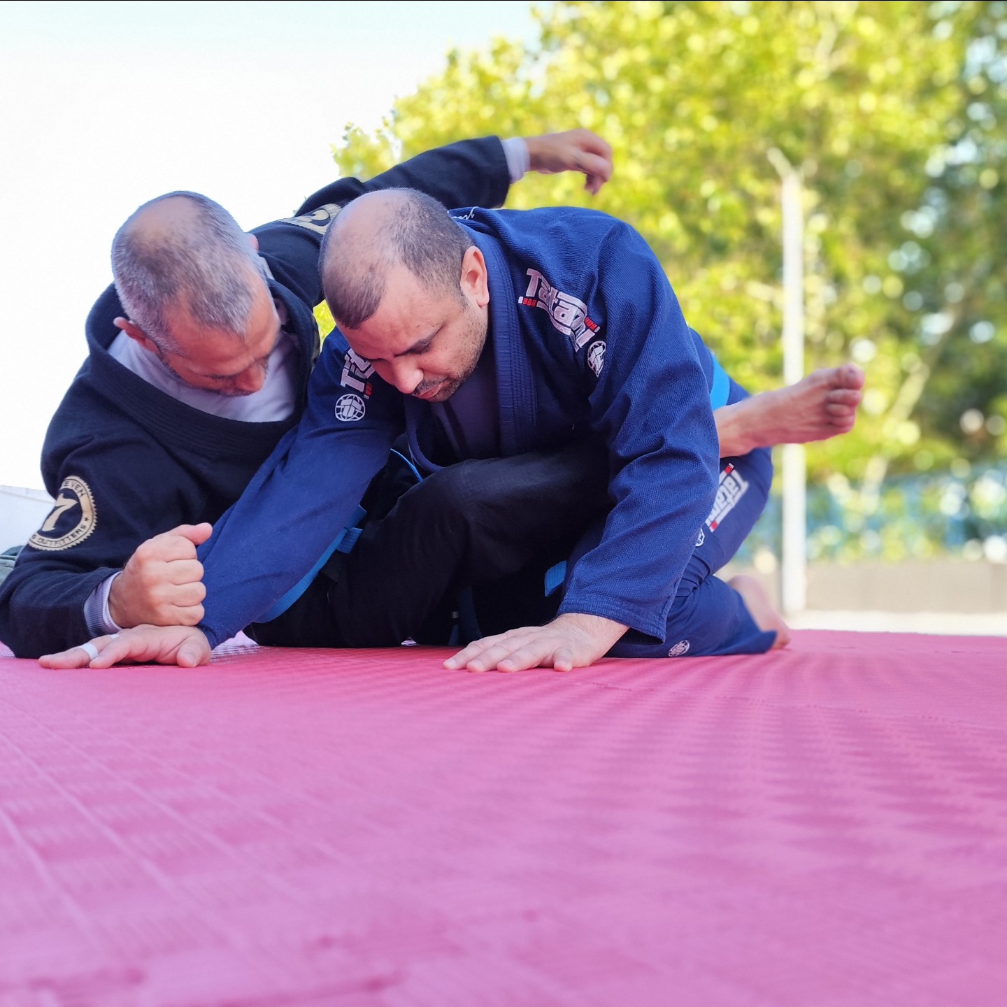 Praticantes de BJJ em Luta